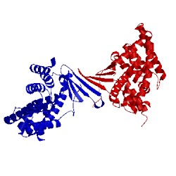 Image of CATH 3ctb