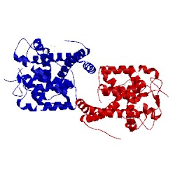 Image of CATH 3cuc
