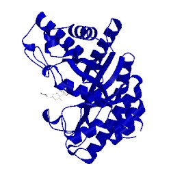 Image of CATH 3cui