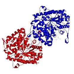 Image of CATH 3cv2