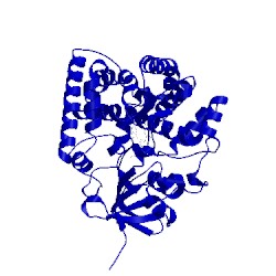 Image of CATH 3cv8
