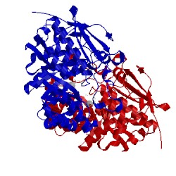 Image of CATH 3cxo