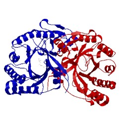 Image of CATH 3cz8