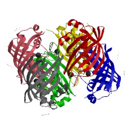 Image of CATH 3d04