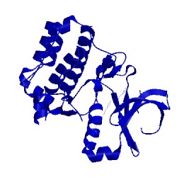 Image of CATH 3d14