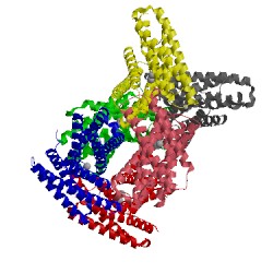 Image of CATH 3d19