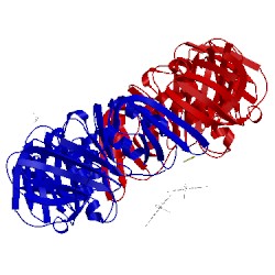 Image of CATH 3d1f