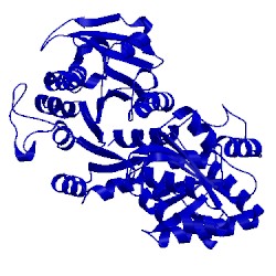 Image of CATH 3d1j