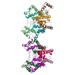 Image of CATH 3d1n