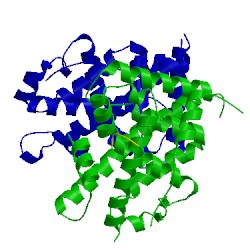 Image of CATH 3d24