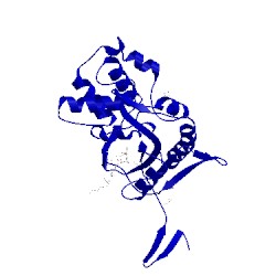 Image of CATH 3d2y
