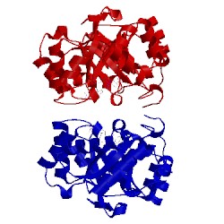 Image of CATH 3d3f