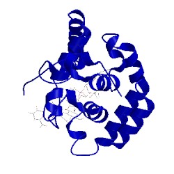 Image of CATH 3d3h