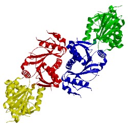 Image of CATH 3d3k
