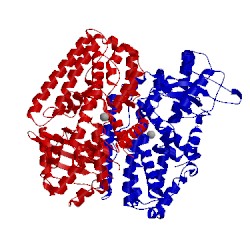 Image of CATH 3d3l