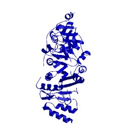 Image of CATH 3d3u