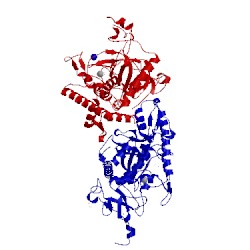 Image of CATH 3d3x