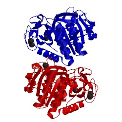 Image of CATH 3d43