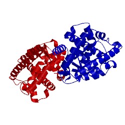 Image of CATH 3d5f