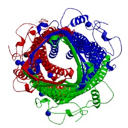 Image of CATH 3d5k