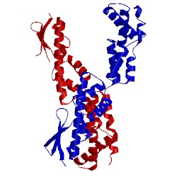 Image of CATH 3d5l