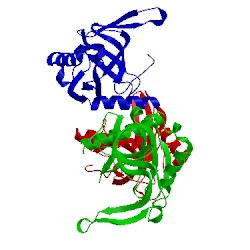 Image of CATH 3d63
