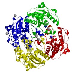 Image of CATH 3d6a