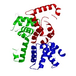Image of CATH 3d7i