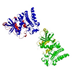 Image of CATH 3d7u