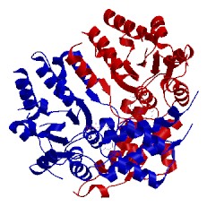 Image of CATH 3d8b