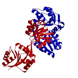 Image of CATH 3d8t