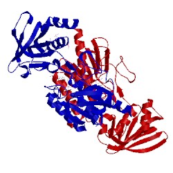 Image of CATH 3d8x