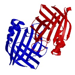 Image of CATH 3d96