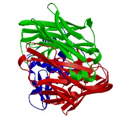 Image of CATH 3d9a