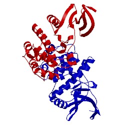 Image of CATH 3dae