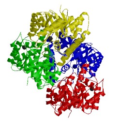 Image of CATH 3daq