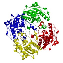 Image of CATH 3db1