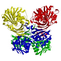 Image of CATH 3dbv