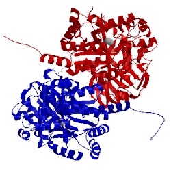 Image of CATH 3dc8