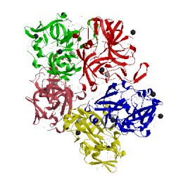 Image of CATH 3dcl