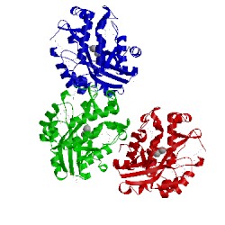 Image of CATH 3dcp