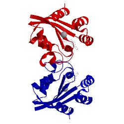 Image of CATH 3ddi