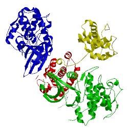 Image of CATH 3ddp