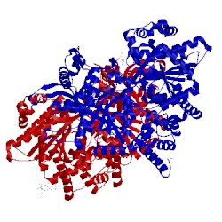 Image of CATH 3dds