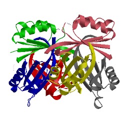 Image of CATH 3dfe