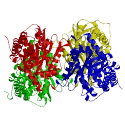 Image of CATH 3dft