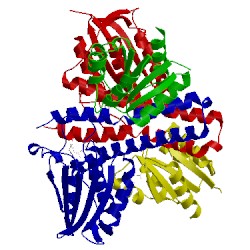 Image of CATH 3dge