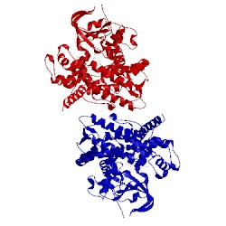 Image of CATH 3dgi