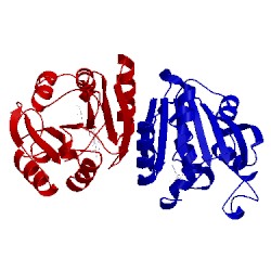 Image of CATH 3dh0
