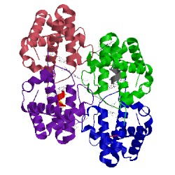 Image of CATH 3dhr